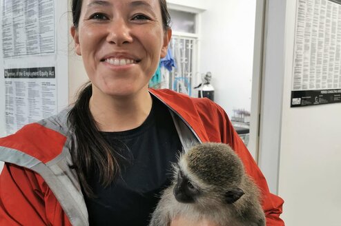 Veterinary visits with rescued injured monkeys